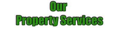 Our Services