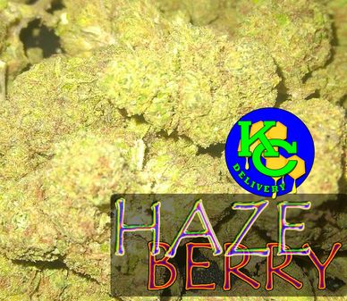 haze berry cannabis flower - sativa dominant hybrid