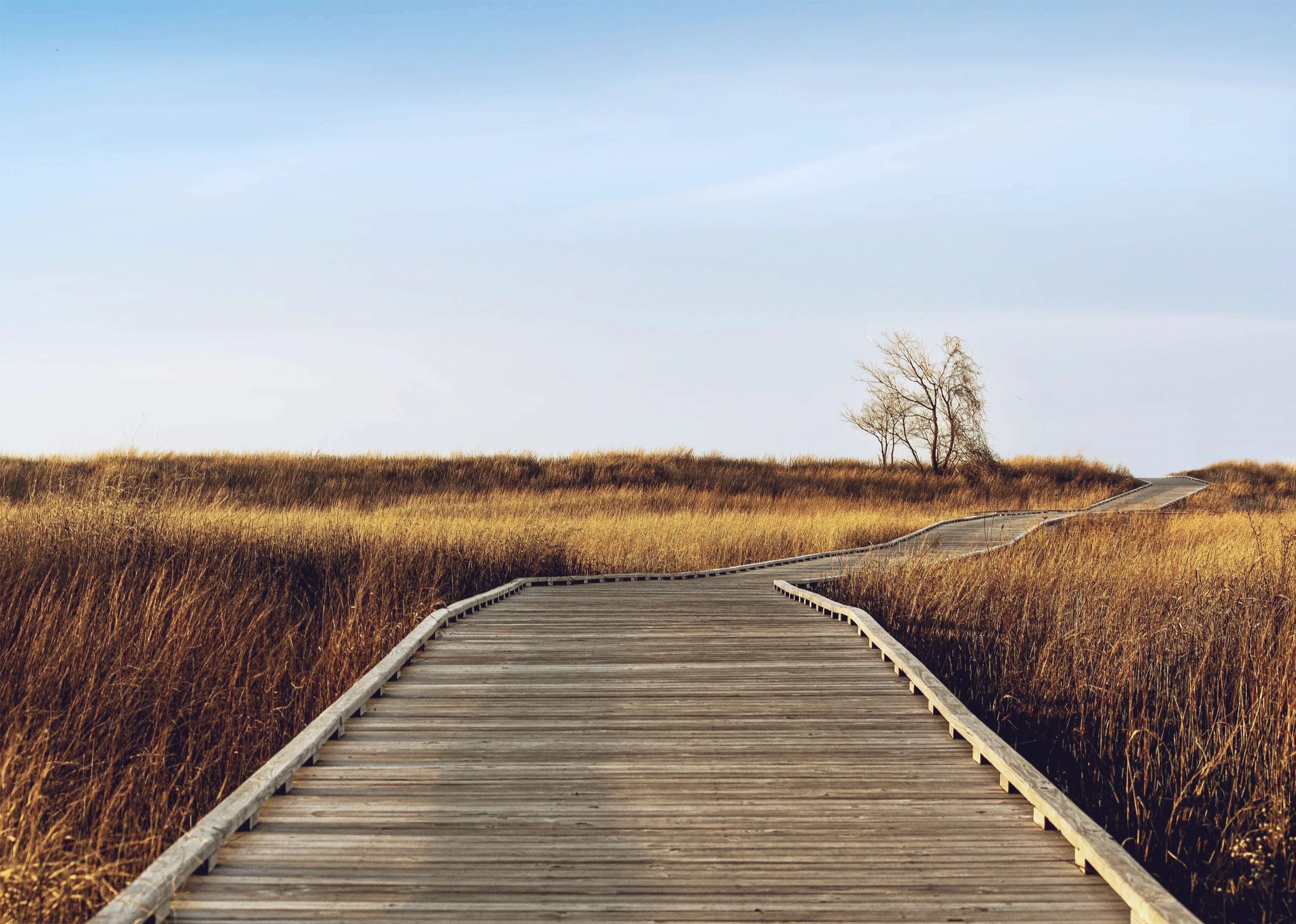 Sprint Partners has 10 founding insights from which it helps agencies and brands.
