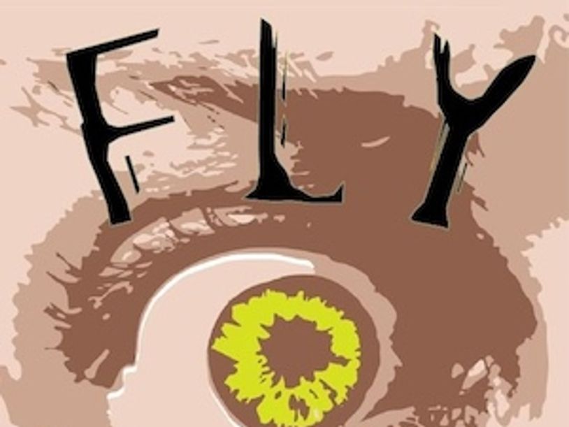 The Fly short movie