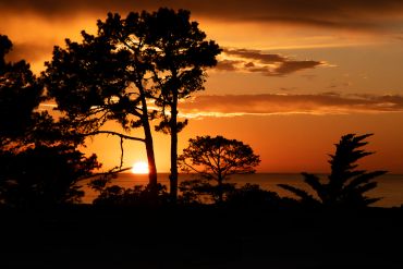 Sunset with silhouetted trees.