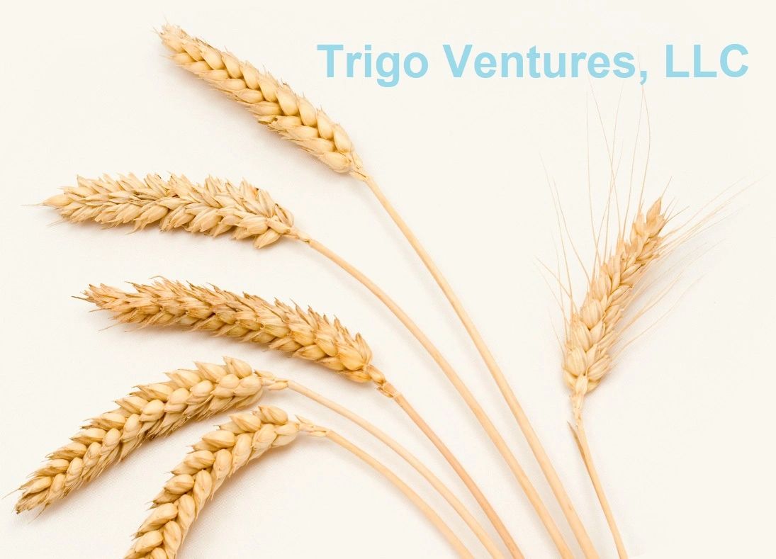 Trigo Ventures, LLC