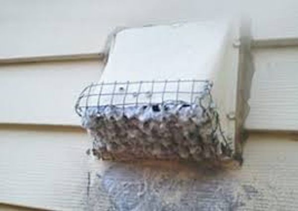  Unless you want to remove the wire mesh and clean it at least once a month, don't do this!