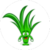 WeedsUpLtd 