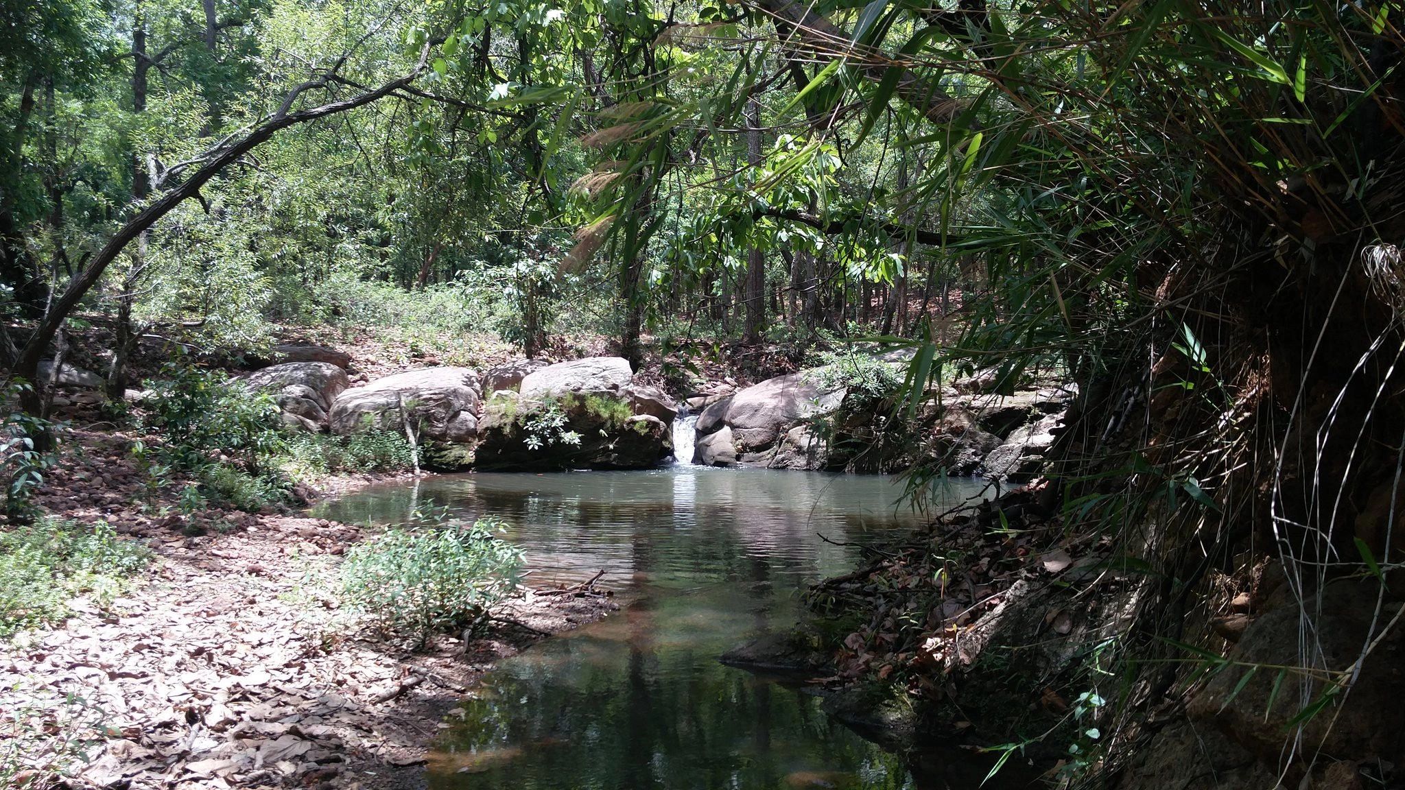 Chasing Cascades: My Top 5 Waterfalls in and Around Ranchi