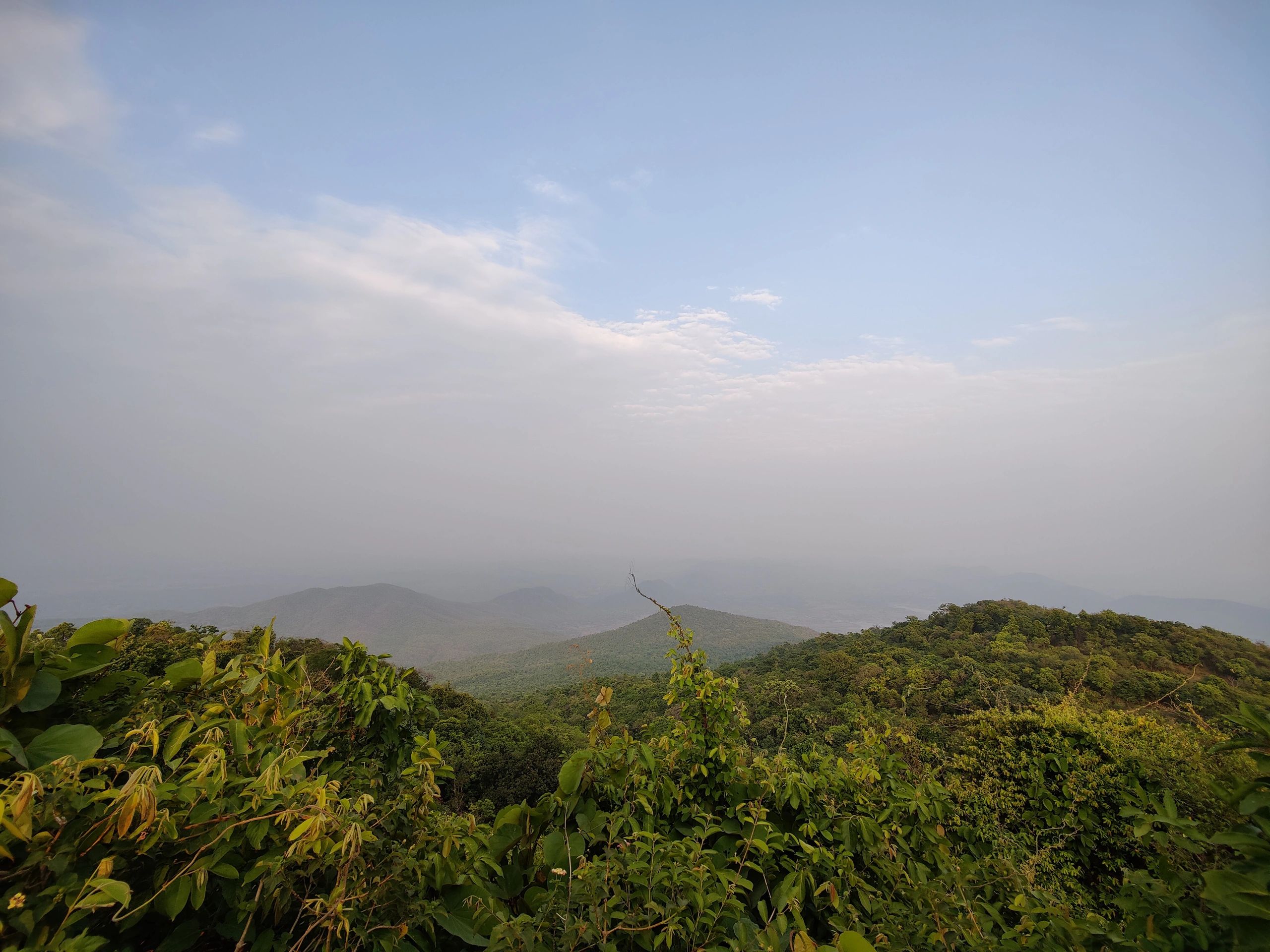 All about Dalma Wildlife Sanctuary