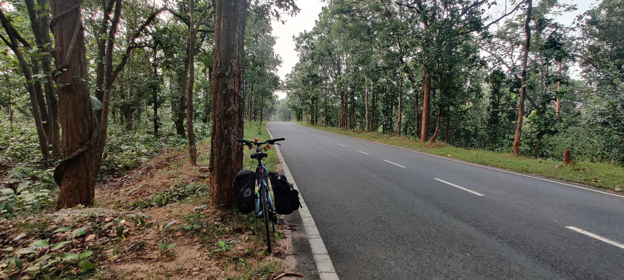 forest great bike routes near me