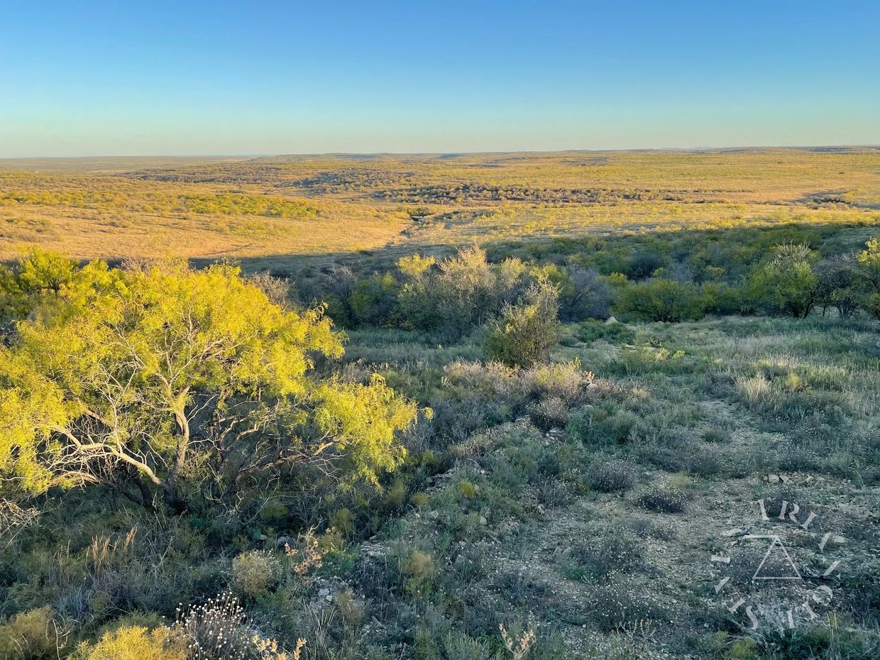 Whitetail deer hunting country.