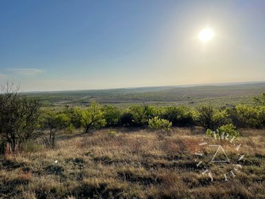 West texas wildlife and game country