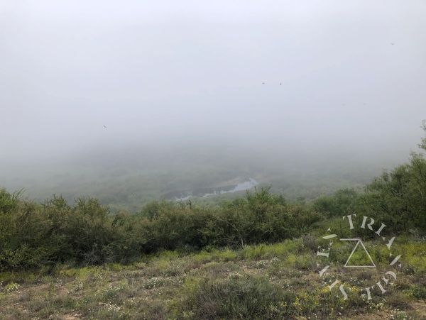 Foggy hillside during guided hunt.