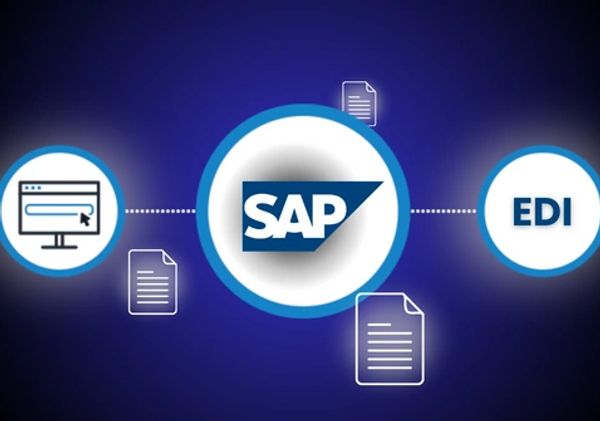 SAP EDI TMS Connection