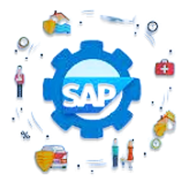 SAP Consultancy