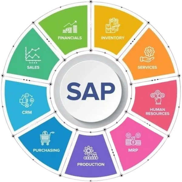 SAP Configuration & Customization