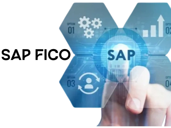 SAP FICO