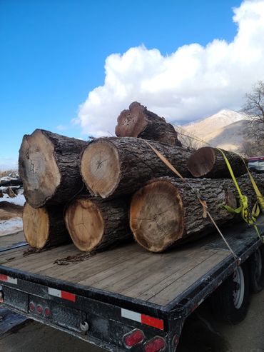 Hardwood logs on flat bed trailer