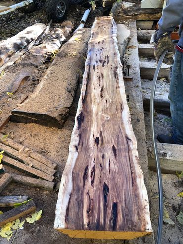 Hickory log being milled 