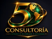 5 Consultoría