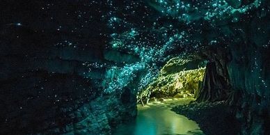 Glow Worm Caves of New  Zealand