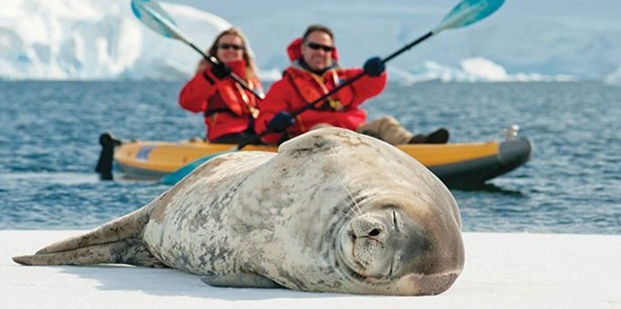 Arctic Kayaking Wildlife Viewing