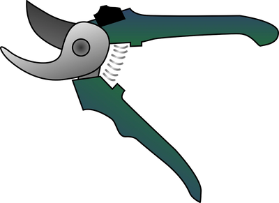 Clink on the image to watch my You Tube video on cleaning your tree and fixing clone issues.