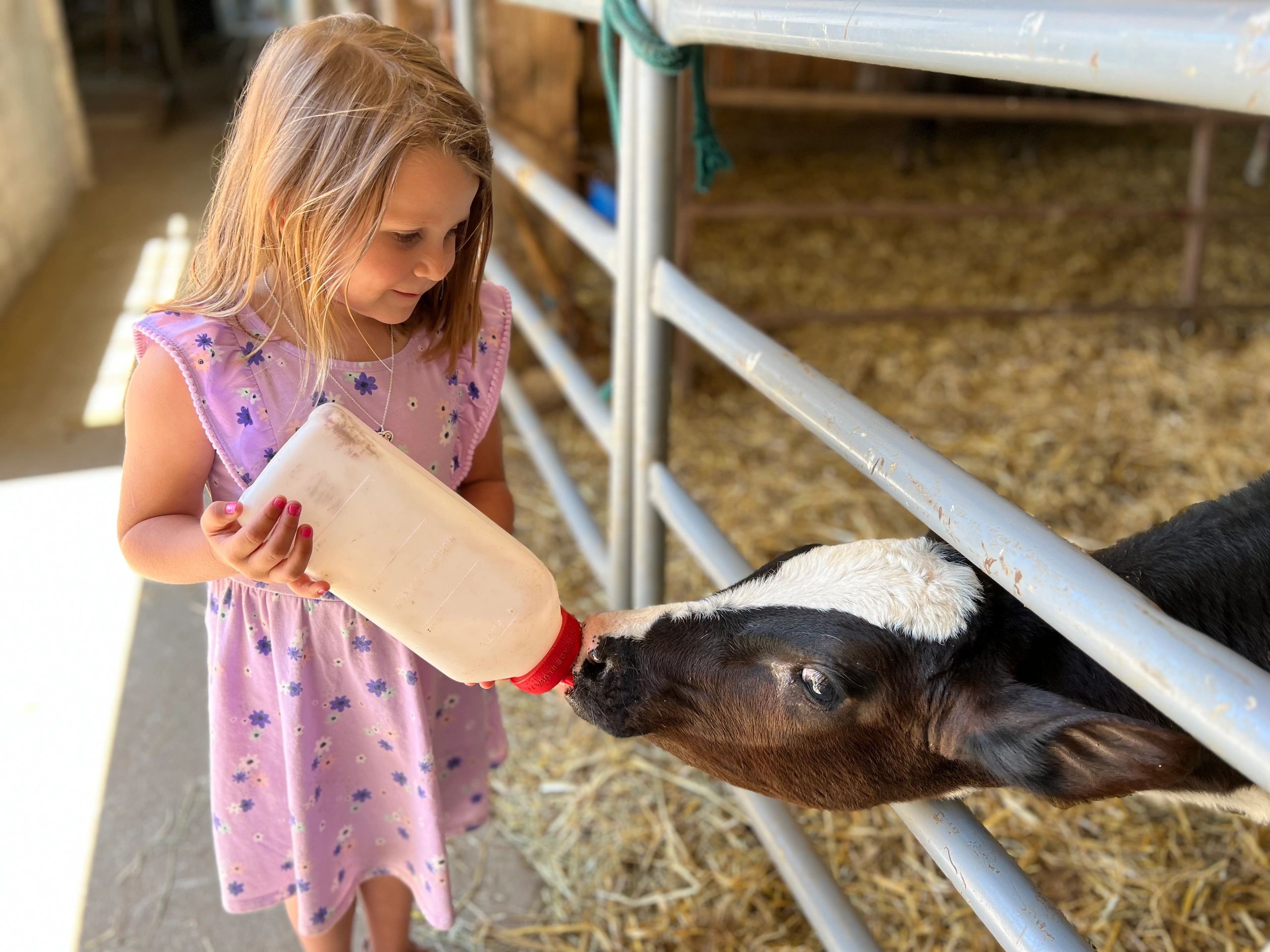 20 Lancaster County, Pennsylvania Must Dos