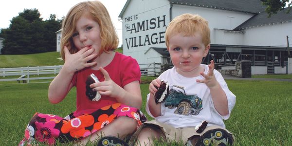 driving tour amish country lancaster pa