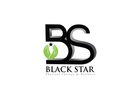 Black Star Physical Therapy and Wellness llc
