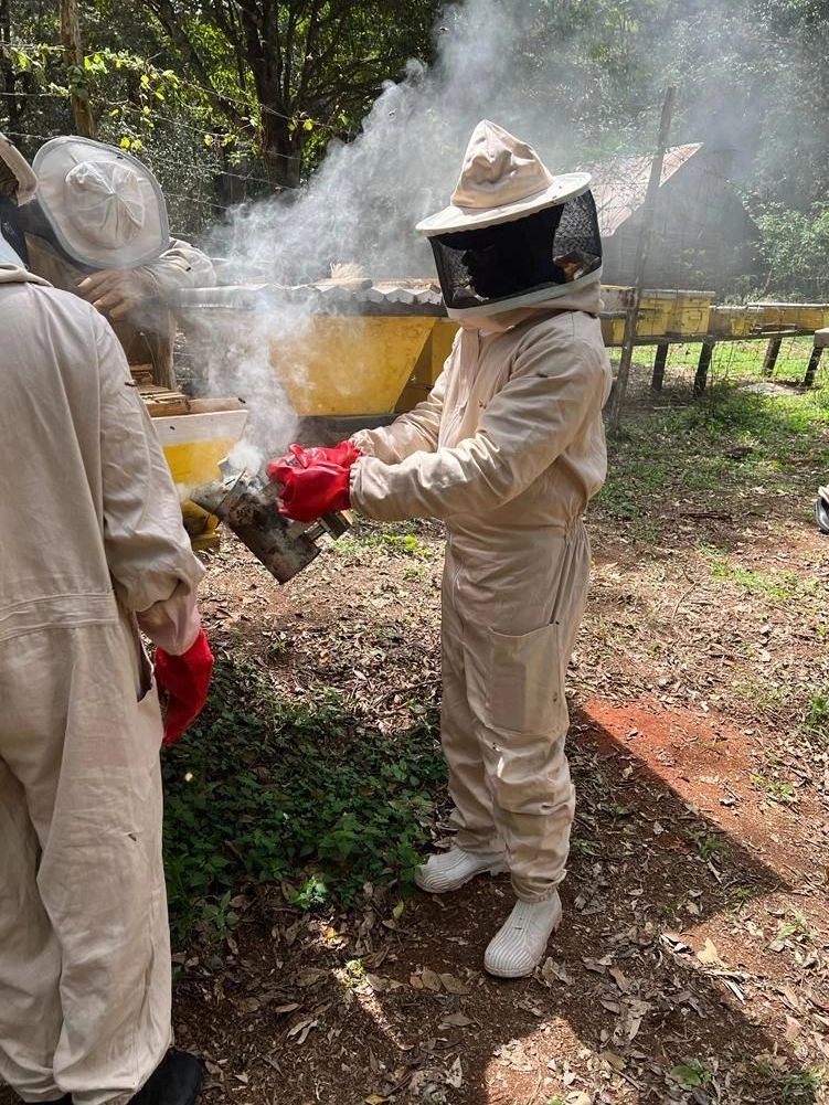 Training at the National Institute of Beekeeping 