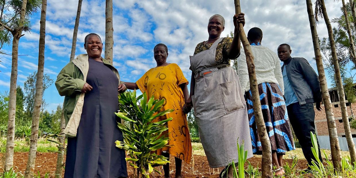 Itierio Tree Nursery Group