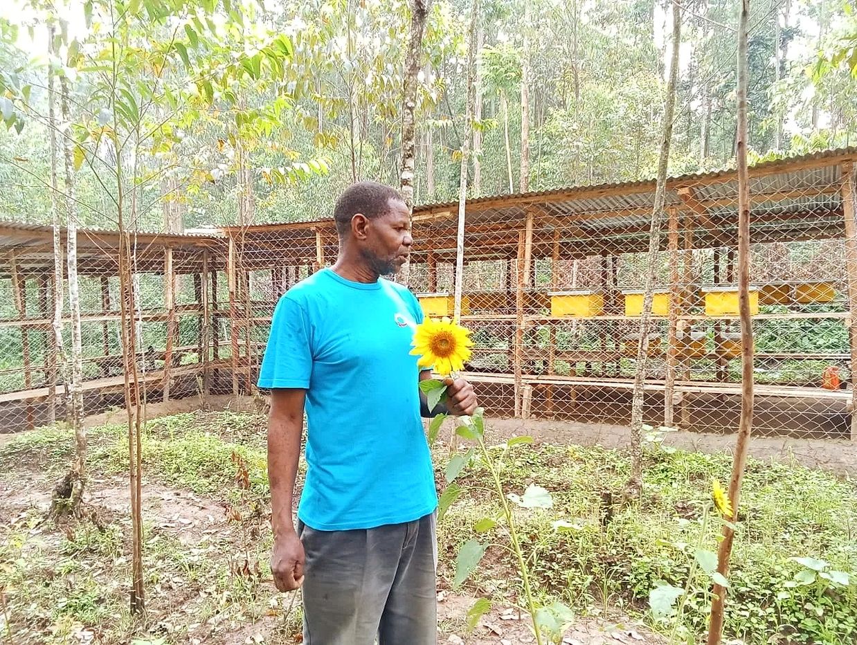 In front of the Nyasumi Apiary