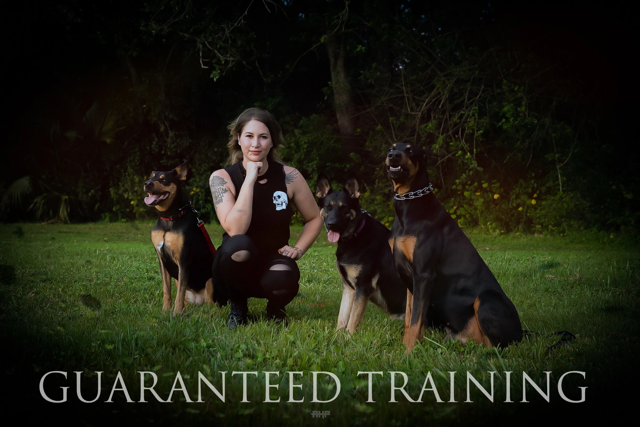 Puppy Bootcamp Pawzitive Dog Training