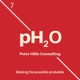 pH2O Consulting