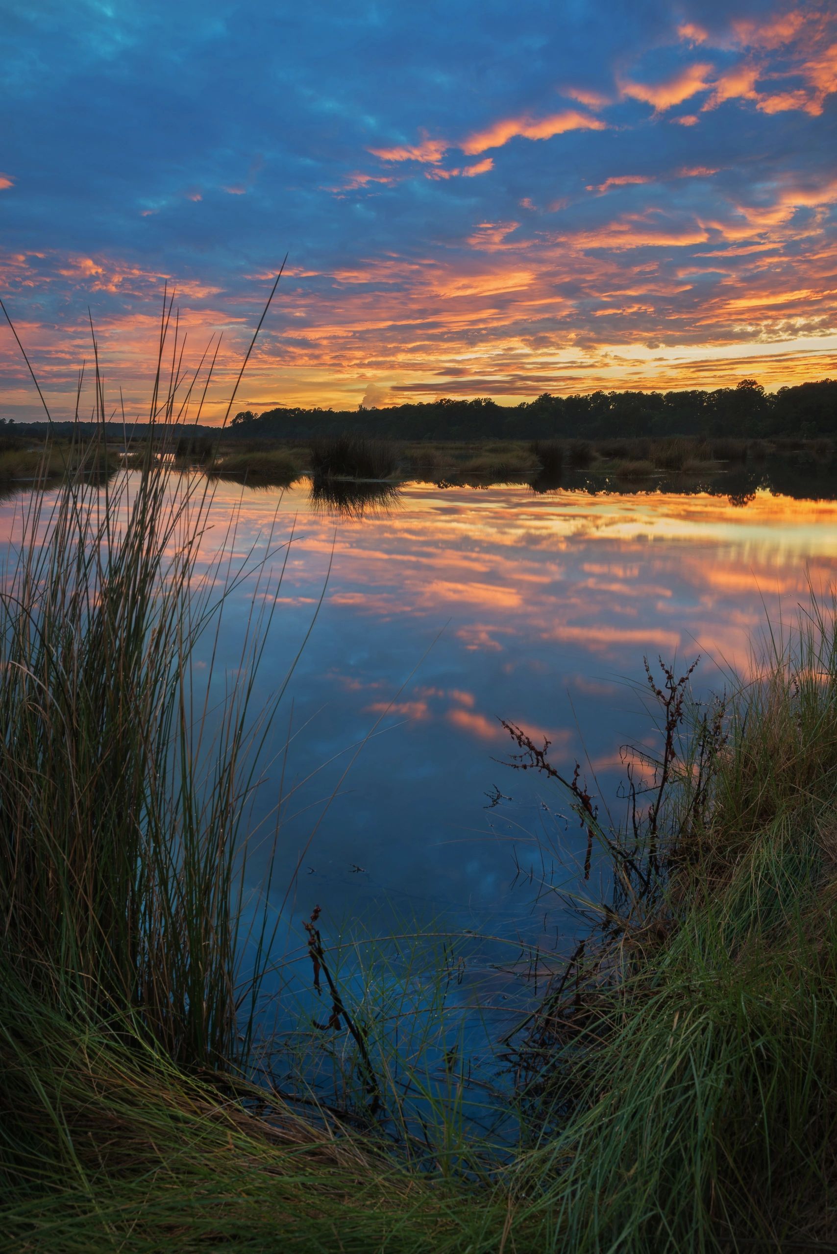 Edisto Island Guide Island, Guide
