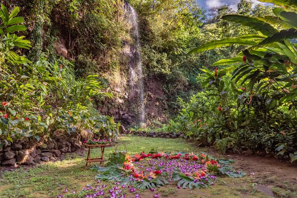 Kauai Waterfall Wedding tropical flower ring
