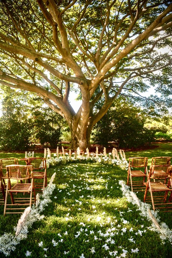 Wedding NTBG under a tree bamboo chairs pampas grass