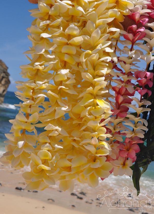 Plumeria leis kauai weddings leis exchange