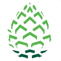 Pinecone-Research-Survey-In-2025