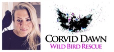 Corvid Dawn Wild Bird Rescue & Animal Assisted Therapy