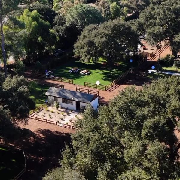 A large yard with some trees and a house