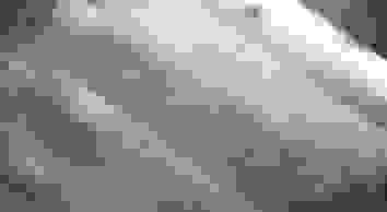 image1628