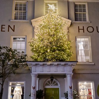 Hen House Devizes, Lowerfields Farm Christmas Tree Large Display and Commercial Trees