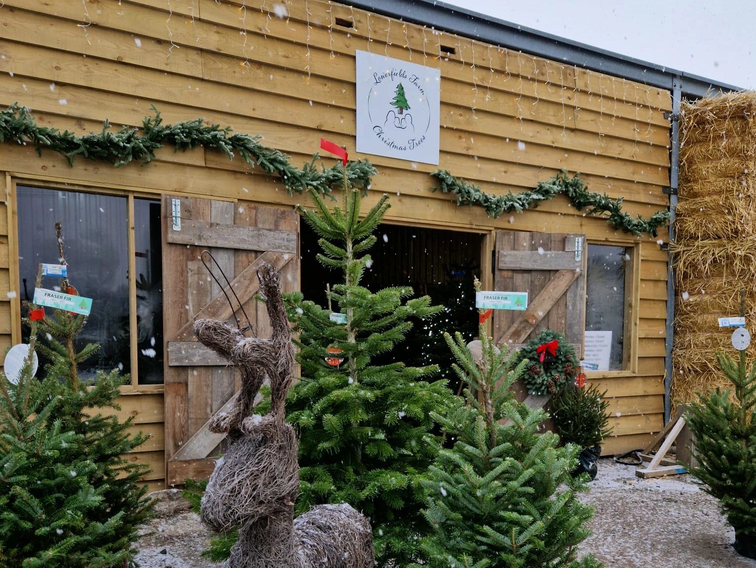Lowerfields Farm Christmas Tree Shop, Coate, Devizes