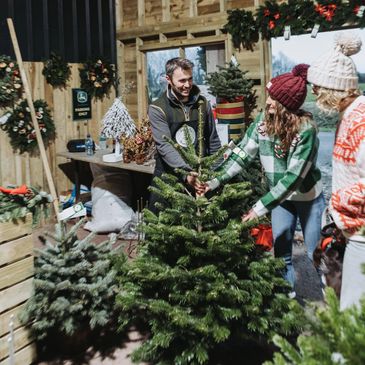 Smiling customers picking out their perfect Christmas tree in Wiltshire.