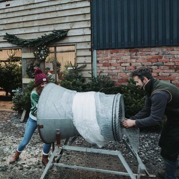 Smiling customers picking out their perfect Christmas tree in Coste Devizes Wiltshire 
