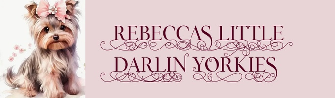 REBECCA'S LITTLE DARLIN' YORKIES