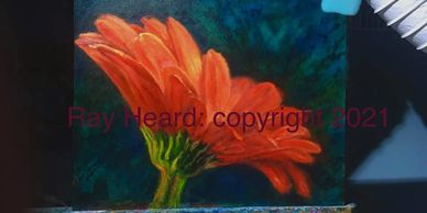 Gerbera daisy art prints and orginals at The Heard Gallery, online,Ray