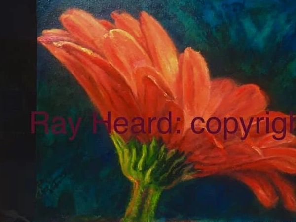 Gerbera,oil painting,22x28,beautiful transparencies,unigue background,





