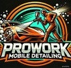 ProWork Detailing