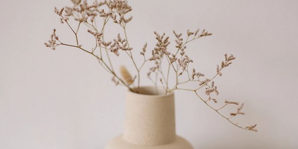 Creación de contenido