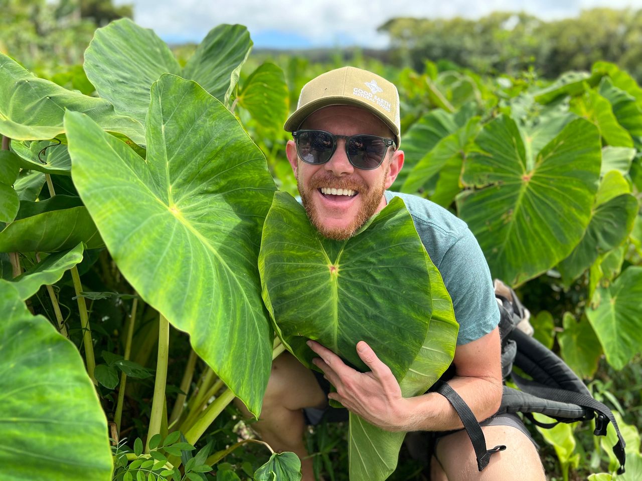 Why We Grow Kalo (Taro) at The Last Resort